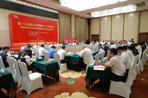 渝见京彩·共创未来——第十五届北京省级商会会长联席会在重庆市渝中区召开